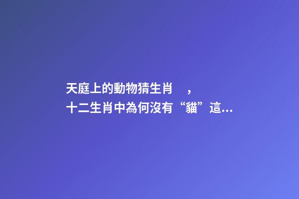 天庭上的動物猜生肖，十二生肖中為何沒有“貓”這一屬相